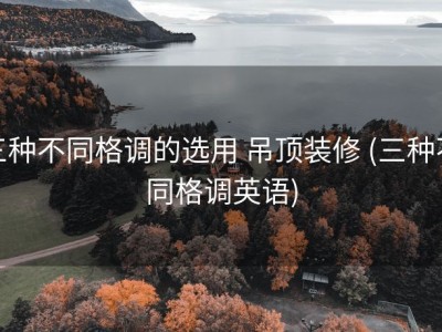 三种不同格调的选用 吊顶装修 (三种不同格调英语)