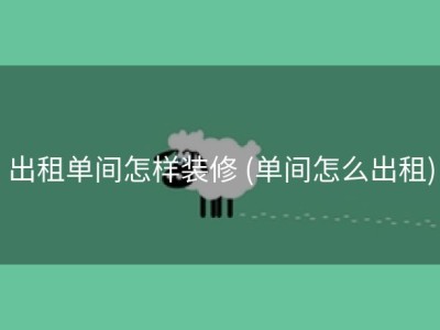 出租单间怎样装修 (单间怎么出租)