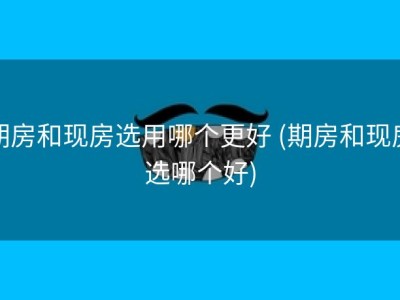 期房和现房选用哪个更好 (期房和现房选哪个好)