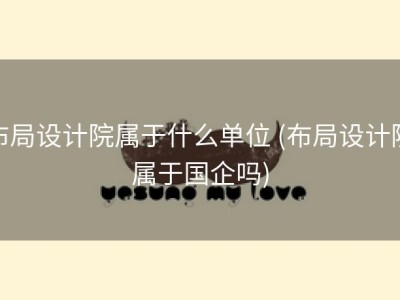 布局设计院属于什么单位 (布局设计院属于国企吗)