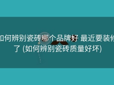 如何辨别瓷砖哪个品牌好 最近要装修了 (如何辨别瓷砖质量好坏)