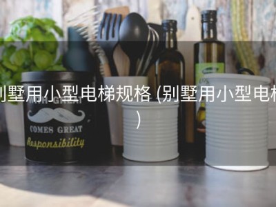 别墅用小型电梯规格 (别墅用小型电梯)
