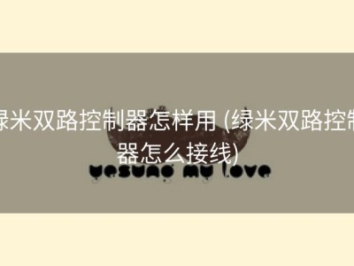 绿米双路控制器怎样用 (绿米双路控制器怎么接线)