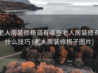 老人房装修格调有哪些老人房装修有什么技巧 (老人房装修格子图片)