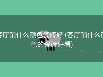 客厅铺什么颜色瓷砖好 (客厅铺什么颜色的瓷砖好看)