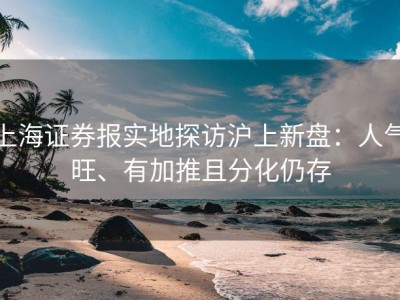 上海证券报实地探访沪上新盘：人气旺、有加推且分化仍存