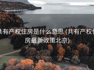 共有产权住房是什么意思 (共有产权住房最新政策北京)