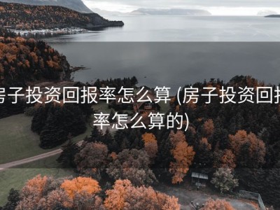 房子投资回报率怎么算 (房子投资回报率怎么算的)