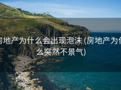 房地产为什么会出现泡沫 (房地产为什么突然不景气)