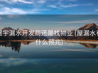 屋宇漏水开发商还是找物业 (屋漏水有什么预兆)