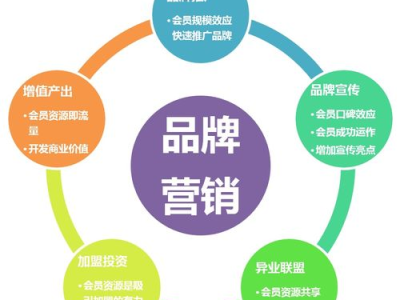 营销策略,创新与执行的完美结合