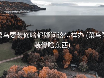 菜鸟要装修啥都疑问该怎样办 (菜鸟要装修啥东西)