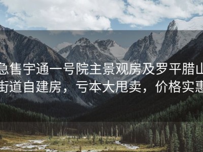 急售宇通一号院主景观房及罗平腊山街道自建房，亏本大甩卖，价格实惠