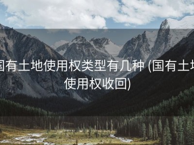 国有土地使用权类型有几种 (国有土地使用权收回)