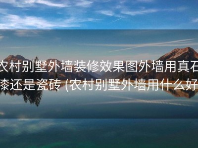 农村别墅外墙装修效果图外墙用真石漆还是瓷砖 (农村别墅外墙用什么好)