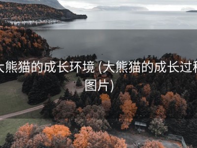 大熊猫的成长环境 (大熊猫的成长过程图片)