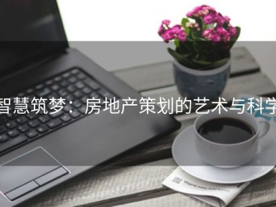 智慧筑梦：房地产策划的艺术与科学