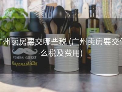 广州卖房要交哪些税 (广州卖房要交什么税及费用)
