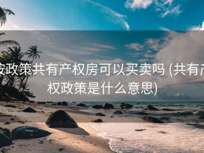 按政策共有产权房可以买卖吗 (共有产权政策是什么意思)