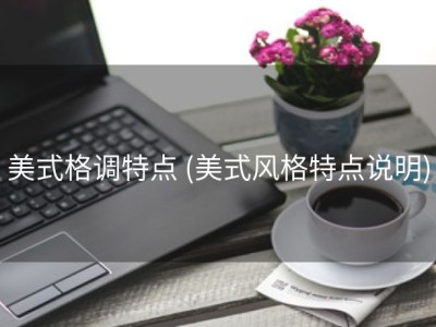 美式格调特点 (美式风格特点说明)
