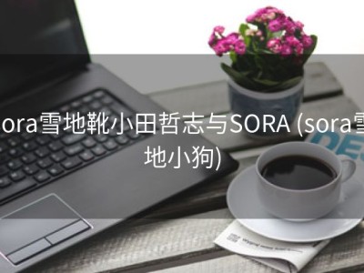 sora雪地靴小田哲志与SORA (sora雪地小狗)