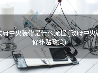 政府中央装修是什么流程 (政府中央装修补贴政策)