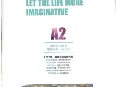 开发商,策略与实践