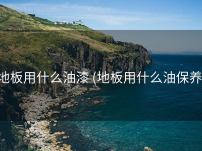地板用什么油漆 (地板用什么油保养)