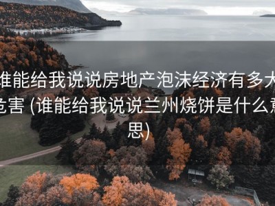 谁能给我说说房地产泡沫经济有多大危害 (谁能给我说说兰州烧饼是什么意思)