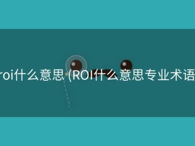 roi什么意思 (ROI什么意思专业术语)