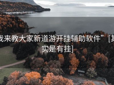 我来教大家新道游开挂辅助软件”[其实是有挂]