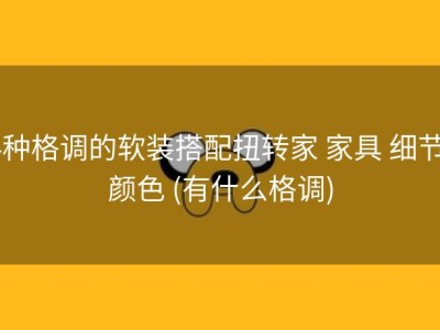 4种格调的软装搭配扭转家 家具 细节 颜色 (有什么格调)
