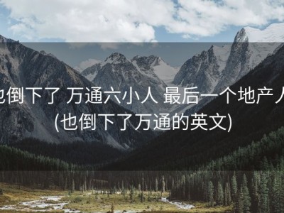 也倒下了 万通六小人 最后一个地产人 (也倒下了万通的英文)