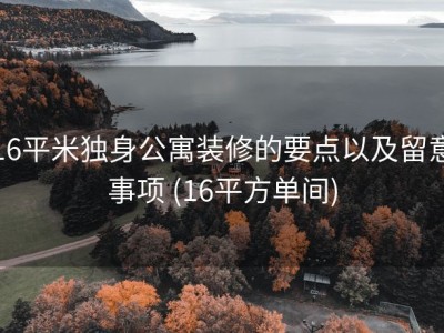 16平米独身公寓装修的要点以及留意事项 (16平方单间)