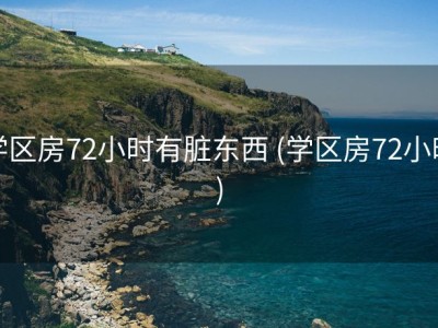 学区房72小时有脏东西 (学区房72小时)