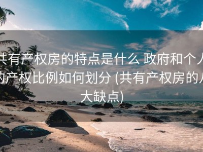 共有产权房的特点是什么 政府和个人的产权比例如何划分 (共有产权房的八大缺点)