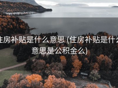 住房补贴是什么意思 (住房补贴是什么意思是公积金么)
