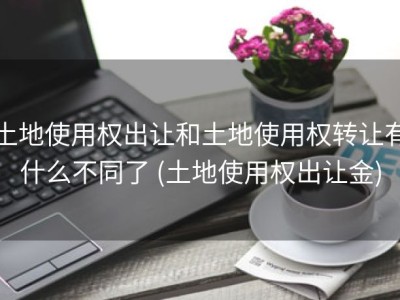 土地使用权出让和土地使用权转让有什么不同了 (土地使用权出让金)