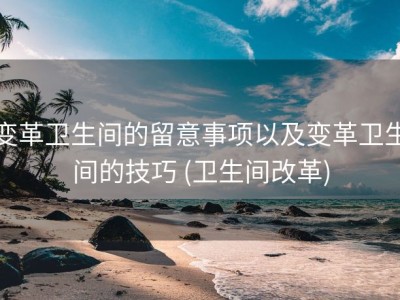 变革卫生间的留意事项以及变革卫生间的技巧 (卫生间改革)