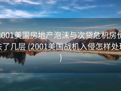 2001美国房地产泡沫与次贷危机房价跌了几层 (2001美国战机入侵怎样处理)