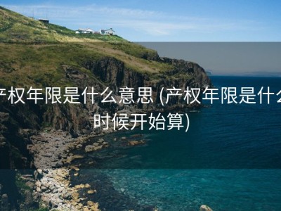 产权年限是什么意思 (产权年限是什么时候开始算)