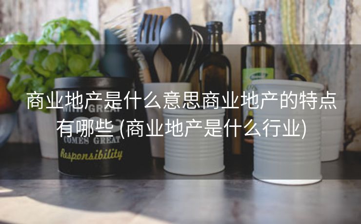 商业地产是什么意思商业地产的特点有哪些 (商业地产是什么行业)