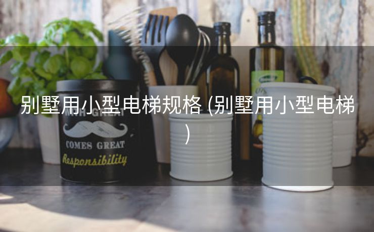 别墅用小型电梯规格 (别墅用小型电梯)