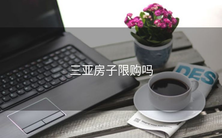 三亚房子限购吗