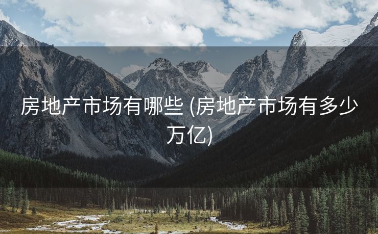 房地产市场有哪些 (房地产市场有多少万亿)