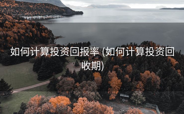 如何计算投资回报率 (如何计算投资回收期)