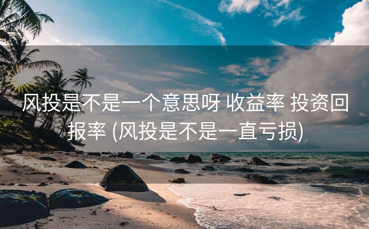 风投是不是一个意思呀 收益率 投资回报率 (风投是不是一直亏损)
