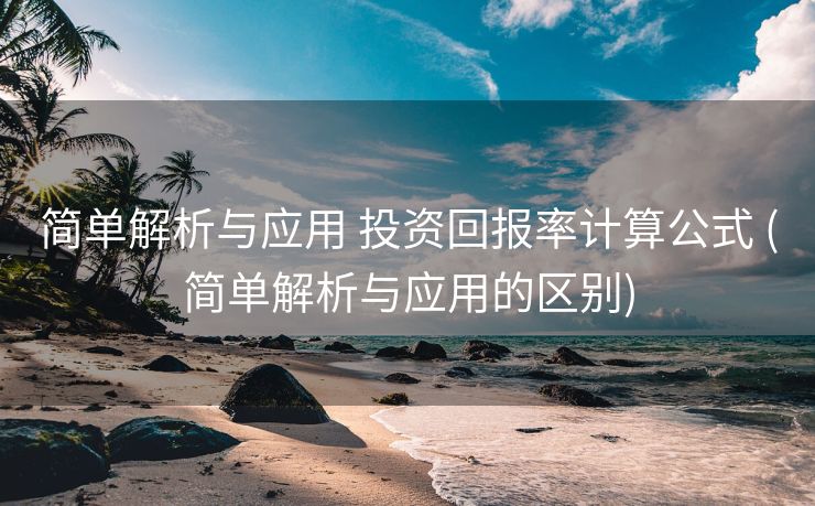 简单解析与应用 投资回报率计算公式 (简单解析与应用的区别)