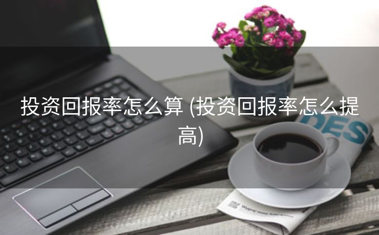 投资回报率怎么算 (投资回报率怎么提高)