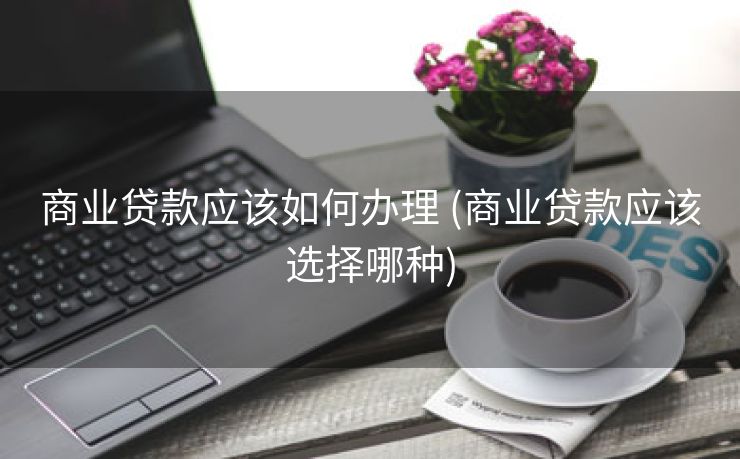 商业贷款应该如何办理 (商业贷款应该选择哪种)